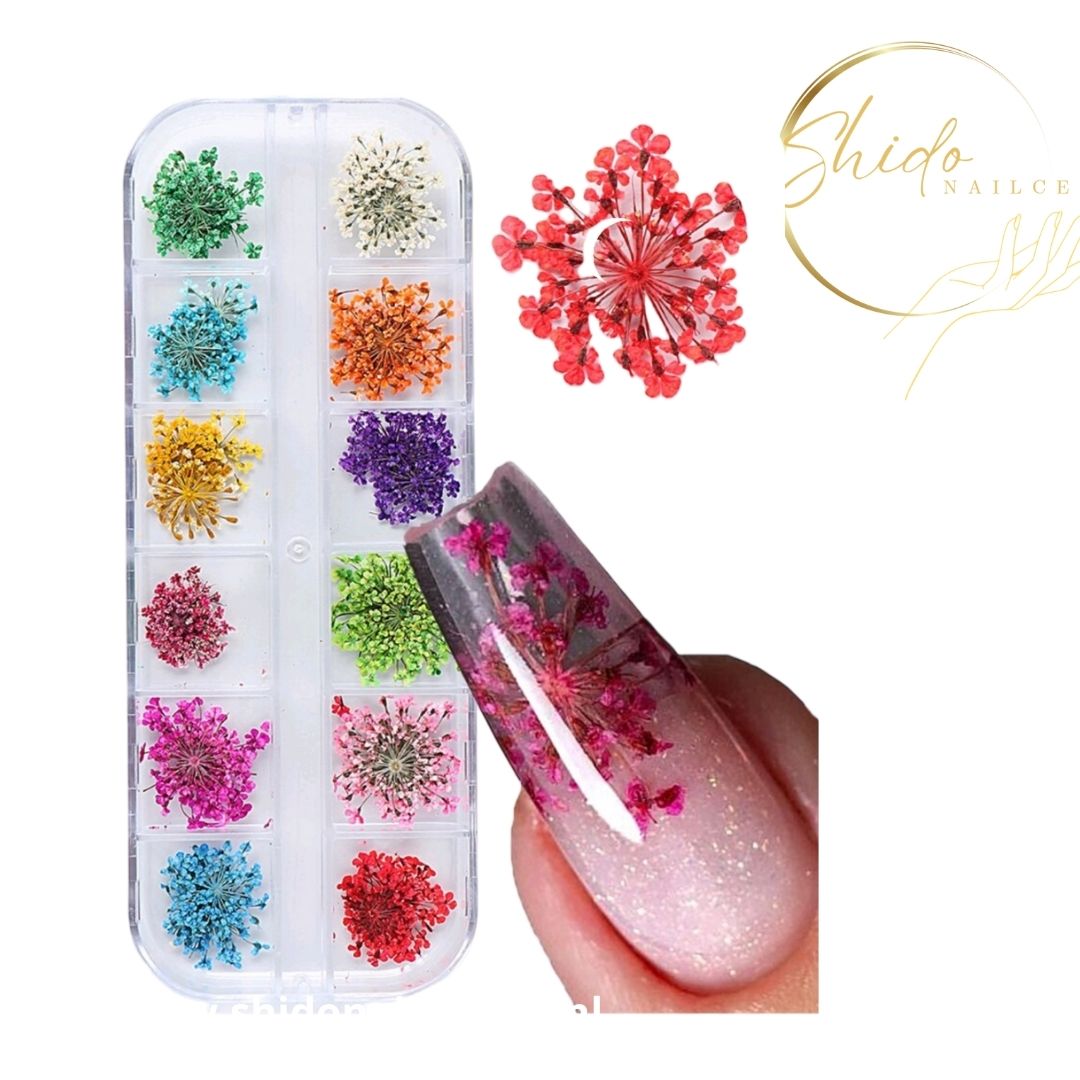 ShidoNails & Art Flower mania Droogbloemen