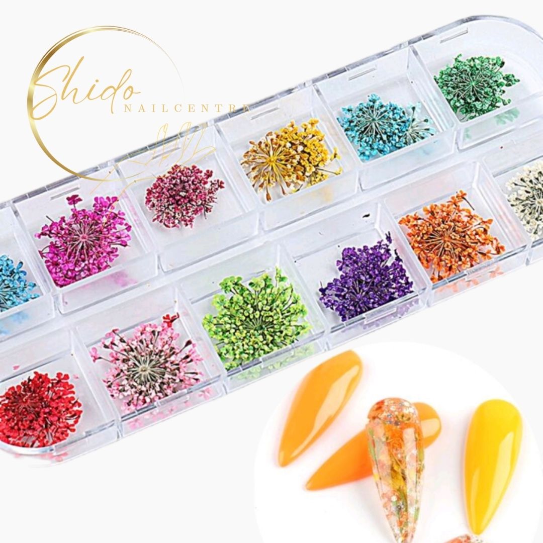 ShidoNails & Art Flower mania Droogbloemen