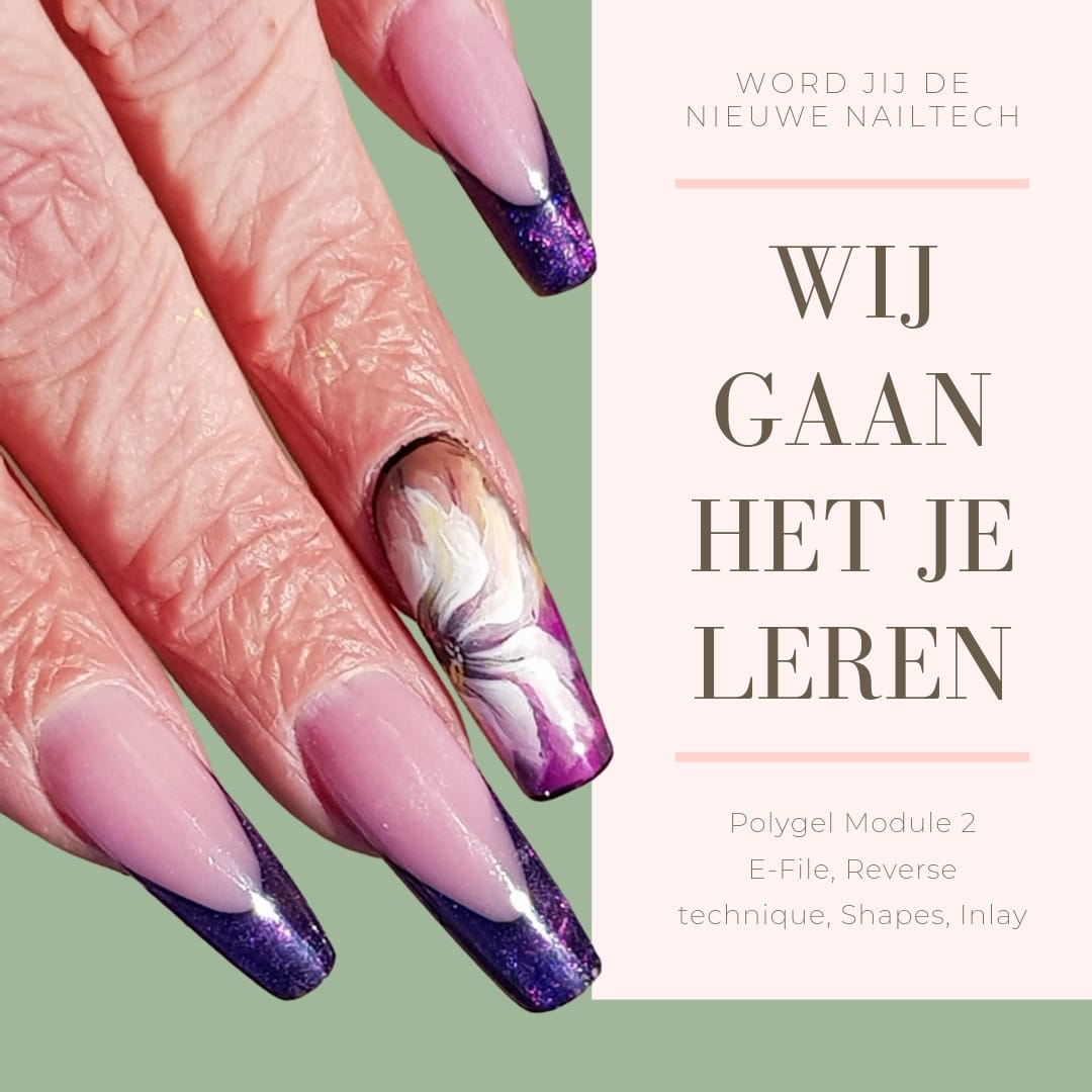 Polygel / Acrylgel Cursus Module 2 (4-Daags) – Nabehandeling & Perfectie | ShidoNails®